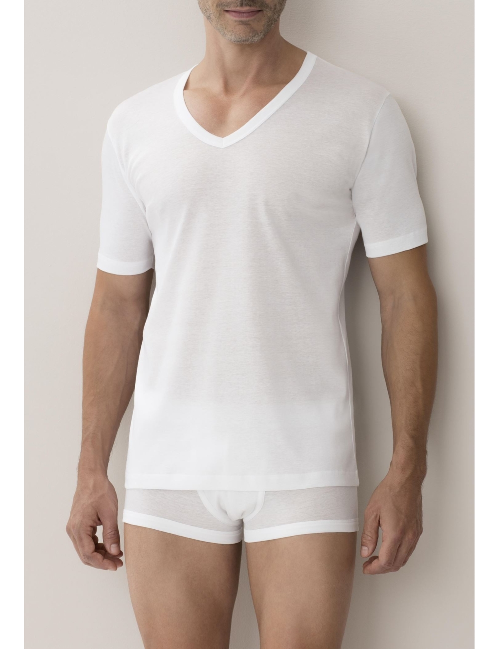 Zimmerli Tshirt 222 business class. Col V