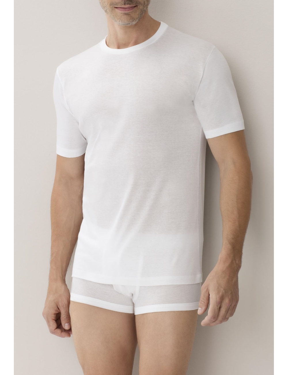 Zimmerli Tshirt 222 business class. Col rond