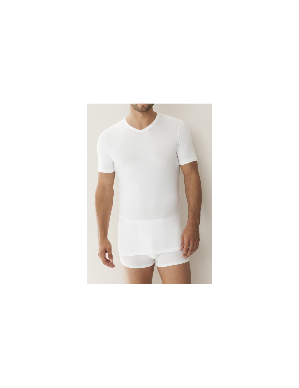 Zimmerli Tshirt 700 pureness. Col V